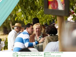 Festival Mar de Tethys 2026 - Bodega Vetas